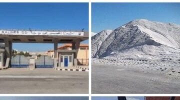 شركات وزارة قطاع الأعمال تواصل دعم مشروعات التنمية في أرض الفيروز.. صور حصرية