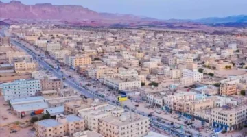 مجزرة "الكلاب" تهلك ثروة حيوانية هائلة في رضوم شبوة.. ليلة رعب تخلد في ذاكرة الأهالي!