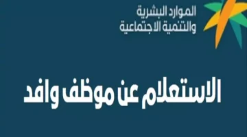 في ثوان: دليل سريع للاستعلام عن موظف وافد برقم الإقامة 1446