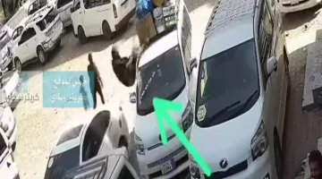كشف هوية مسن يمني توفي أثناء ربط أمتعته في عدن.. صورته الأخيرة تتصدر الترند العالمي