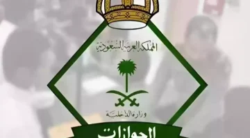 فرصة توفير كبيرة في رسوم الرعاية لعام 1446 بالسعودية.. تعرف على الفئات المعفاة!