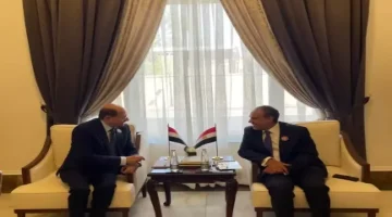 بيان حاسم من مصر بشأن القضية اليمنية الرئيسية!