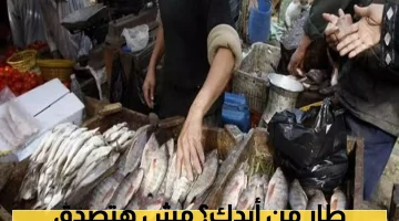 ارتفاع مسعور في أسعار الأسماك بعدن.. تسجل أرقاماً غير مسبوقة!