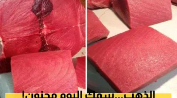 جولة في أسواق عدن: ارتفاع الديرك إلى 24 ألف ريال.. اكتشف الأسعار الجديدة للأسماك!