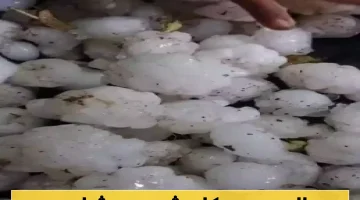 بَرَد ضخم يضرب محافظة زراعية يمنية ويتسبب بخسائر فادحة في المحاصيل والممتلكات