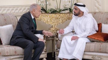 لقاء سيف بن زايد مع الأمين العام لجامعة الدول العربية