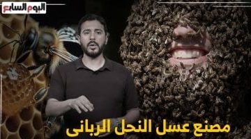 أصغر مصنع عسل في العالم داخل حشرة: اكتشف مراحل إنتاج العسل مع تليفزيون اليوم السابع