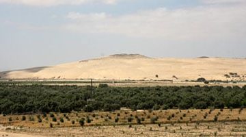 الشركة العامة لاستصلاح الأراضي تطالب ليبيا بتعويض قيمة 3 ملايين دولار