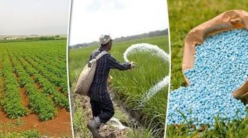 انخفاض قطاع الموارد الأساسية في البورصة.. تأثير خفض إمدادات الغاز على مصانع الأسمدة