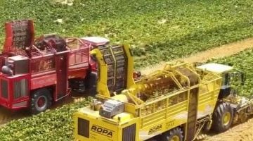 توقعات بارتفاع قيمة التأمين الزراعي العالمي إلى 48.5 مليار دولار: كيف تخطط مصر للتوسع في هذا القطاع؟