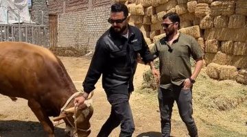 جزار محترف يكشف أسرار الأضحية: تعرف على تفاصيل العجول المجنونة في فيديو حصري