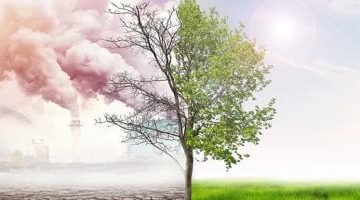 دراسة: تأثير تغير المناخ على كفاءة طاقة الرياح.