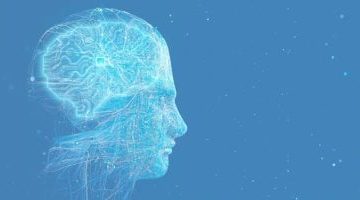 تطبيق Gemini ينفرد بجمع معلوماتك باستخدام الذكاء الاصطناعي