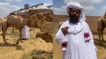 قبل الشراء: كل ما تحتاج معرفته عن الجمال في أكبر وأقدم أسواقها (فيديو)