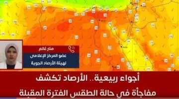 هيئة الأرصاد تعلن عن مفاجآت الطقس في أجواء ربيعية مميزة - شاهد الفيديو
