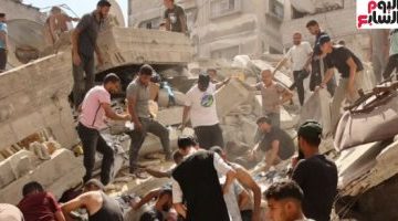 وثيقة ويتكوف: تفاصيل اتفاق وقف إطلاق النار في غزة بضمان مصر وقطر وأمريكا - فيديو