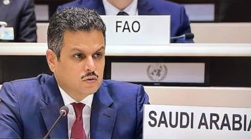 المملكة تؤكد التزامها بتنفيذ اتفاقية الأمم المتحدة لمواجهة تغير المناخ