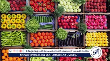 ارتفاع وانخفاض أسعار الخضروات في الدقهلية اليوم الجمعة 20 يونيو 2025