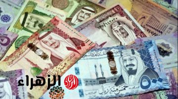 أسعار الصرف: تعرف على سعر الريال السعودي مقابل الجنيه المصري اليوم الثلاثاء