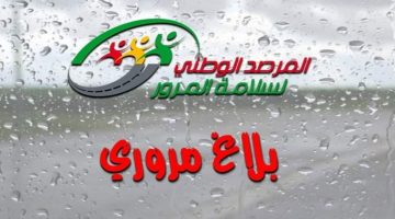 تحذيرات هامة للسائقين: توصيات عاجلة لسلامة الطرق!