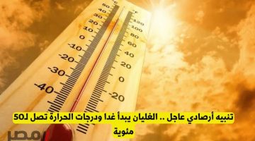 التوقعات الأرصادية: موجة حر جهنمية تضرب البلاد غدًا ودرجات الحرارة قد تصل إلى 50 مئوية!