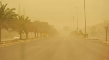 توقعات الطقس اليوم: رياح محملة بالغبار والأتربة تعم مناطق عدة