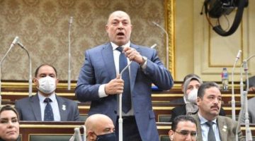 برلماني: مصر والإمارات تلعبان دورًا عالميًا بارزًا في تحقيق وقف إطلاق النار في غزة