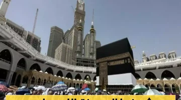 لحظة تاريخية: امرأة تفاجئ الجميع في جبل الرحمة وتضع مولودها أثناء الوقوف!