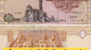 أحدث تحديثات البنك المركزي المصري: أسعار صرف الريال اليمني مقابل الجنيه المصري وتحويلات العملتين