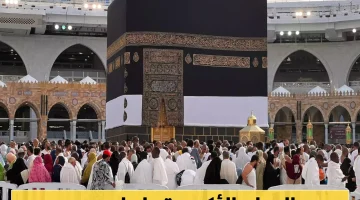 شيخ الأزهر يثني على نجاح السعودية في تنظيم موسم الحج: جهود مذهلة تُكلل بالتقدير