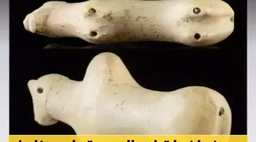 ثور يمني تاريخي يُباع في مزاد علني بأمريكا.. رحلة حضارة اليمن إلى العالم!