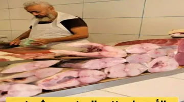 غضب شعبي في عدن جراء الارتفاع الجنوني لأسعار الأسماك.. "الديرك" في صدارة الأسعار!