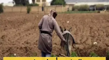 اليمن يواجه تحديات قاسية: حرارة مرتفعة ونقص في الأمطار تُنذر بأزمة شديدة وتحذيرات هامة للمستقبل!