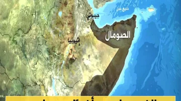 دولة عربية تفرج عن 7 صيادين يمنيين بعد شهرين من الاحتجاز في سواحلها