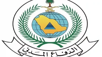 حريق مفاجئ يستنفر فرق الدفاع المدني في مرتفعات الجنوب ويخلق مشهدًا مهيبًا بين الجبال
