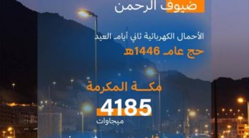 السعودية للكهرباء: أحمال الكهرباء في مشعر منى تصل إلى 358 ميجاوات في ثاني أيام عيد الأضحى