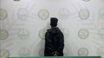الباحة: توقيف مروج الأمفيتامين في عملية ضبط ناجحة - أخبار السعودية