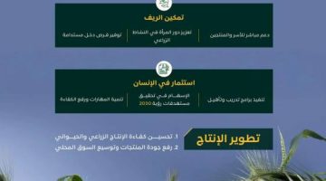 برنامج «ريف السعودية» يحقق استفادة 87,235 مستفيداً