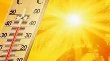 أغسطس يشهد ارتفاعاً غير مسبوق في درجات الحرارة بـ 1.2 درجة عن المعدل الطبيعي في السعودية