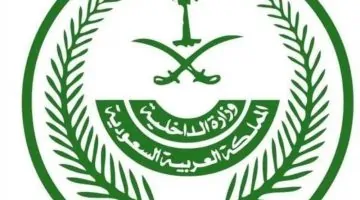 إعدام 3 مهربين للحشيش في نجران: العدالة تأخذ مجراها