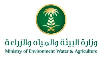 «وزارة البيئة تؤكد أهمية النظافة والتهوية لمنع تراكم الأتربة في أسواق الخضار»