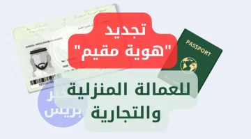 الجوازات السعودية تكشف عن شروط تجديد هوية مقيم للعمالة المنزلية والتجارية