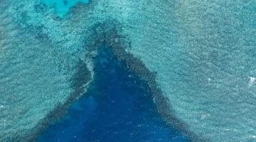هيئة النقل السعودية تكرم أكثر من 2350 بحارًا بمناسبة اليوم العالمي للبحارة