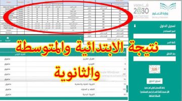 اكتشف نتائج الطلاب للعام 1446 برقم الهوية عبر رابط موقع نور