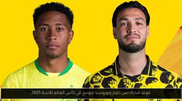 توقيت مواجهة صن داونز ضد بوروسيا ميونيخ في كأس العالم للأندية 2025
