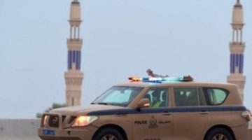 الشرطة الدولية تعتقل مواطناً يمنياً بتهمة التورط في جرائم مالية