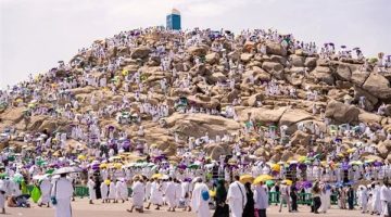 شيخ الأزهر يبارك للسعودية نجاح موسم الحج 1446 هجري