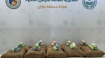 أحبطت السلطات تهريب 200 كجم من نبات القات المخدر! #عاجل