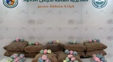 إحباط محاولة تهريب 240 كجم من نبات القات المخدر في عملية عاجلة