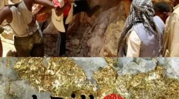 اكتشاف تاريخي: دولة عربية تكشف عن أكبر احتياطي من الذهب في أراضيها، والشعب يستعد لثروة غير مسبوقة!